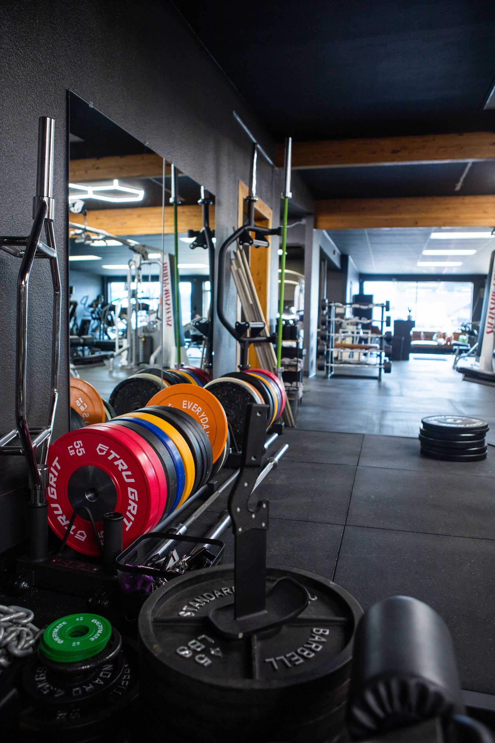 Mad Dog Gym facility