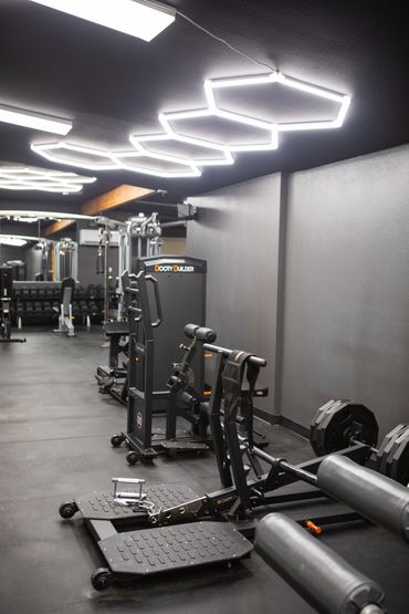 Mad Dog Gym equipment row