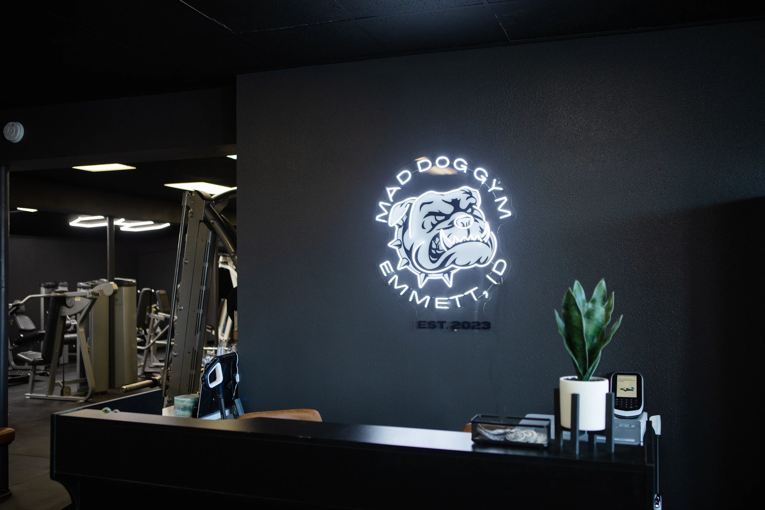 Mad Dog Gym cardio