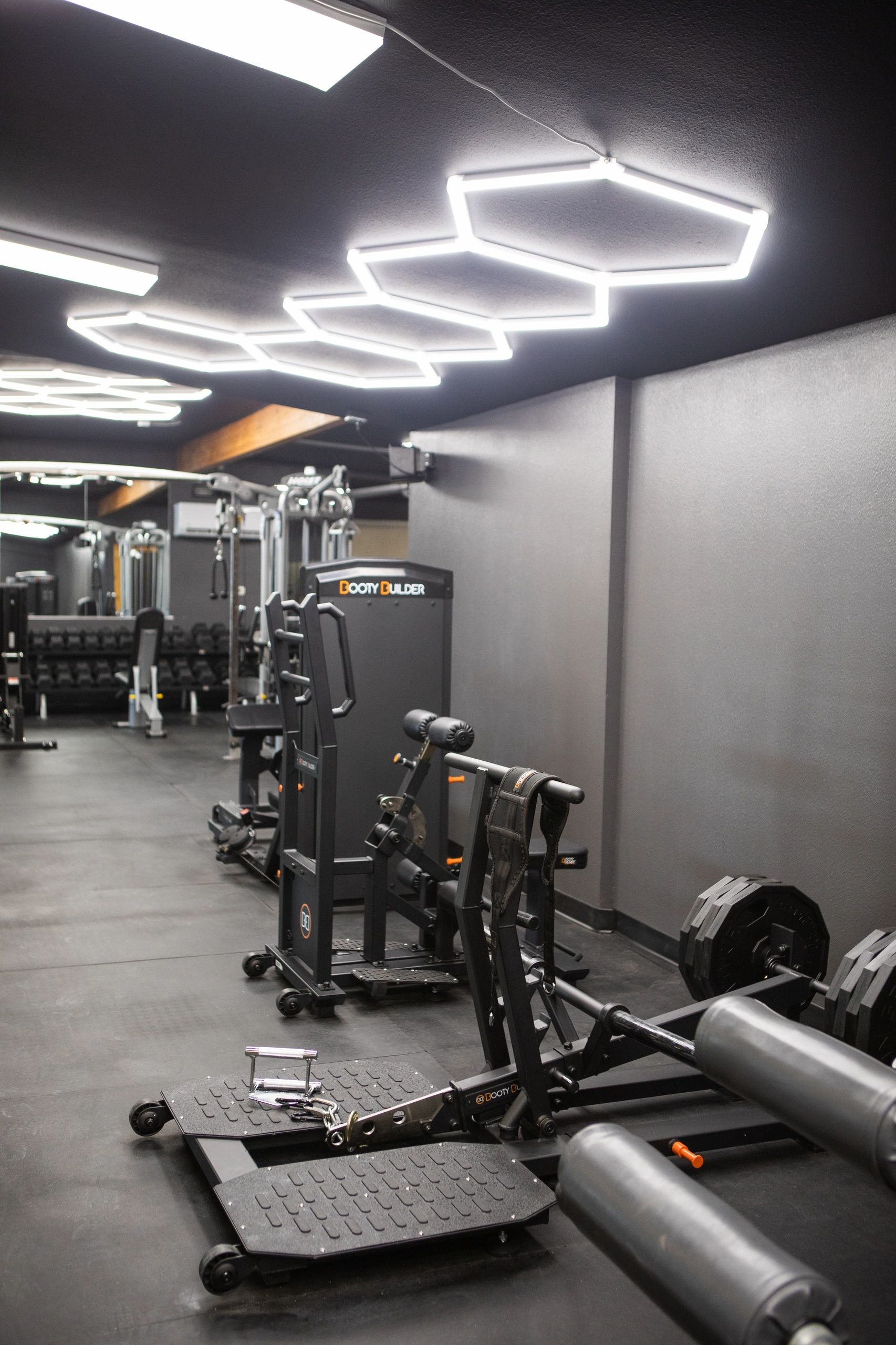 Mad Dog Gym free weights