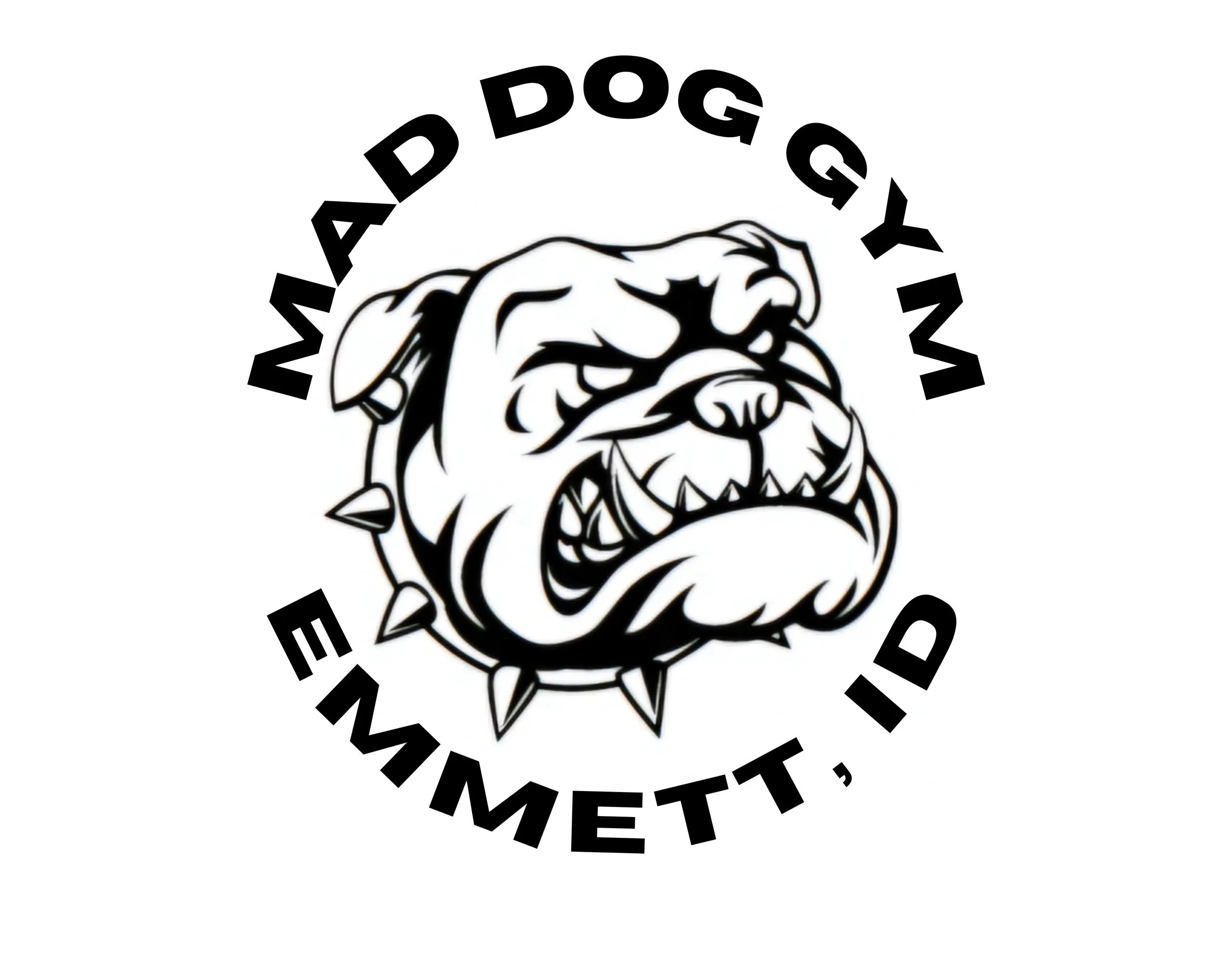 Mad Dog Gym equipment layout